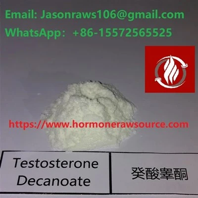 Testosterondekanoat for kroppsbygging CAS:5721-91-5