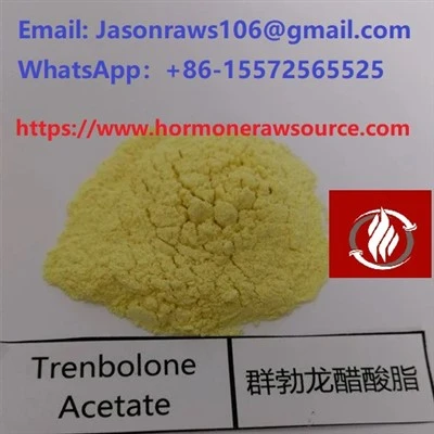 Trenbolone Acetate Steroids Powder for Bodybuilding CAS: 10161-34-9