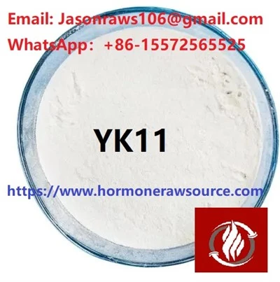 YK-11 Sarms Powder Bodybuilding CAS:1370003-76-1