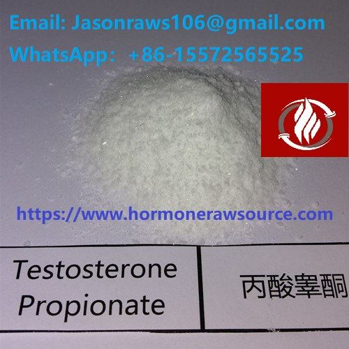 Testosteron Propionate Steroids Powder for Bodybuilding CAS: 57-85-2